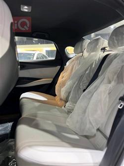 بي واي دي سيل 06 DM-i